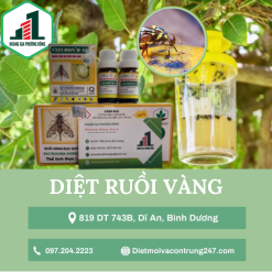 Diệt ruồi vàng